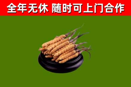 兴安盟市烟酒回收冬虫夏草.jpg